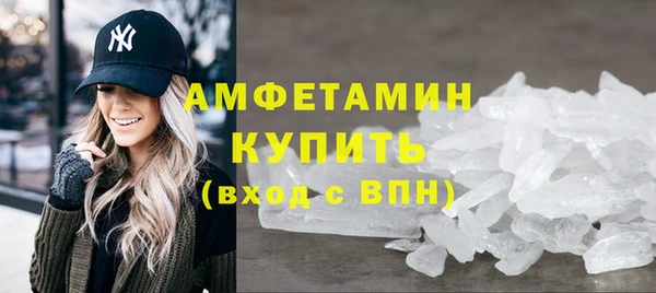 молекула духа Богородицк