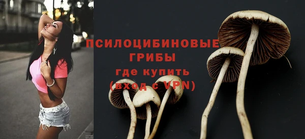 молекула духа Богородицк