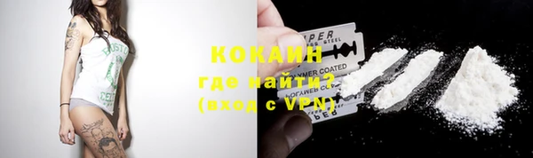 гидра Белокуриха