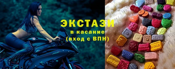 молекула духа Богородицк