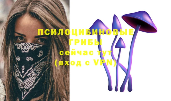 гидра Белокуриха