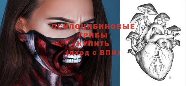 гидра Белокуриха