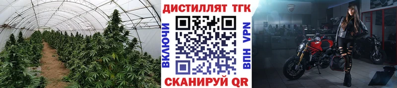 ТГК гашишное масло  Вязники 