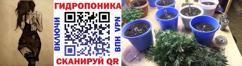 Канабис ГИДРОПОН Вязники